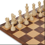 DGT Chess Starter Box Grey (Pieces & Board)