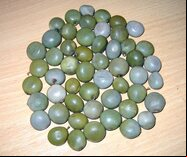 Oware Mancala Game -  stained black, pencil style with seeds
