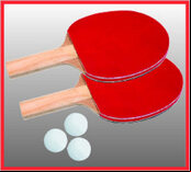 Butterfly Easifold 19 Rollaway Table Tennis Table