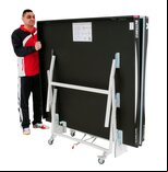Butterfly Space Saver 22 Rollaway Table Tennis Table