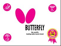 Butterfly Space Saver 22 Rollaway Table Tennis Table